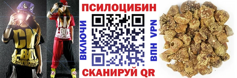 Псилоцибиновые грибы Psilocybine cubensis купить наркотики цена Великий Новгород