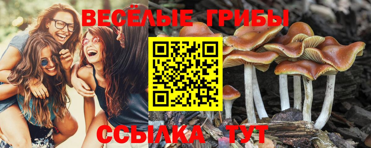 Великий Новгород  Галлюциногенные грибы мицелий  хочу   Вход с VPN 